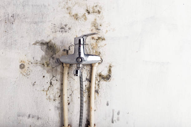 Best Mold Testing and Inspection Services in Turlock, CA