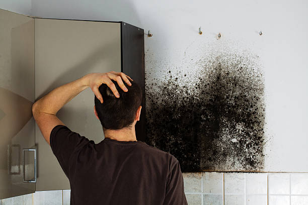 Turlock, CA Mold Remediation Company