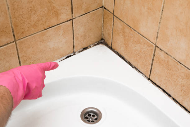 Turlock, CA Mold Remediation Company